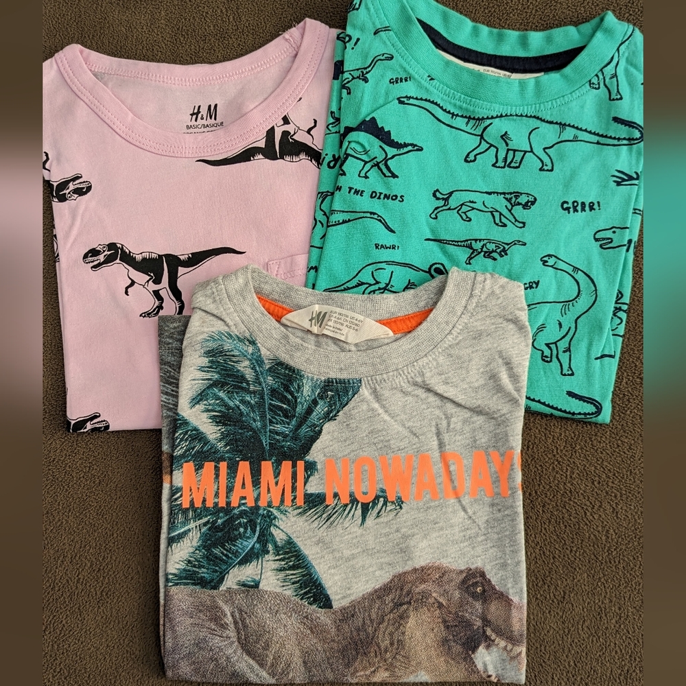 H&M boys dinosaur graphic t-shirts size 4-6yrs